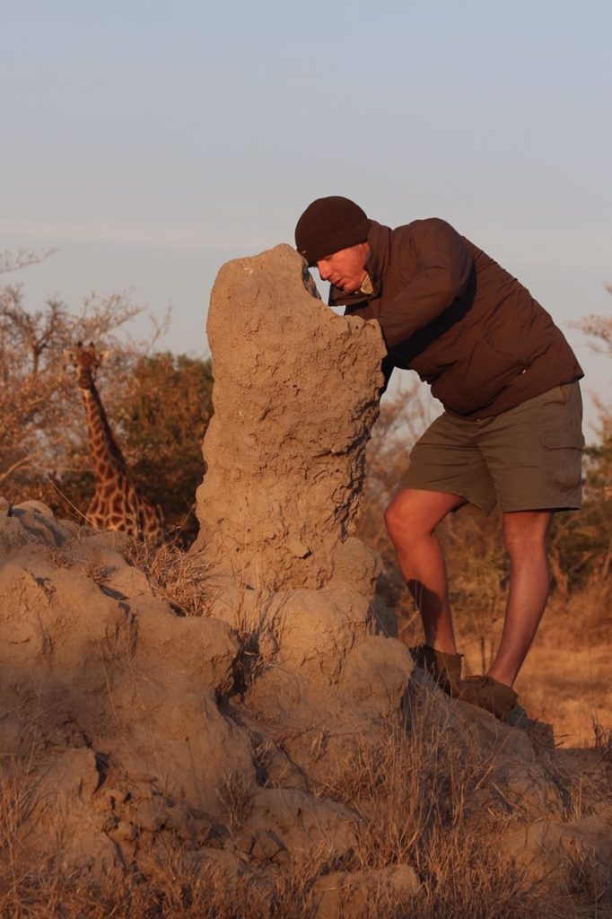 Termites and private guide on safari with Wandering Thru.